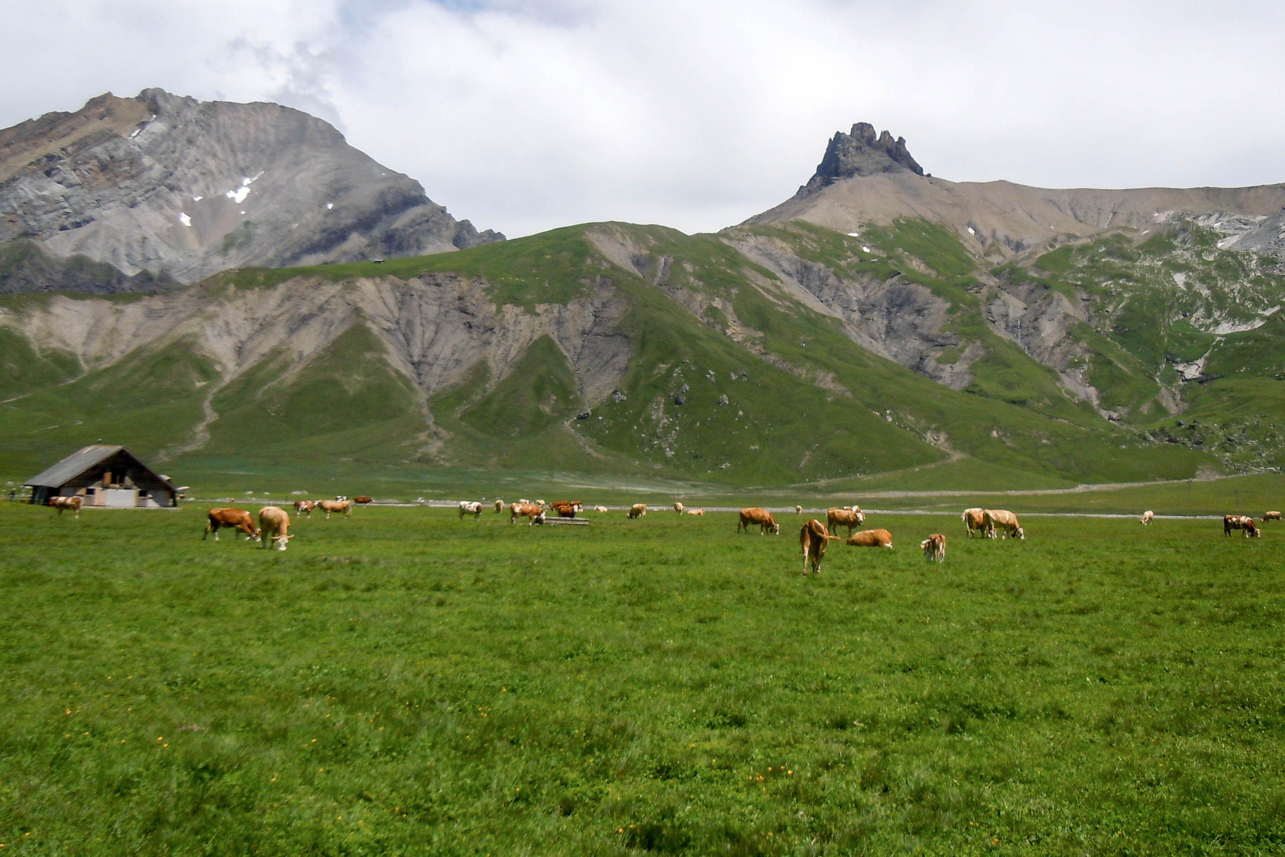 Vue de l alpage Engstligenalp