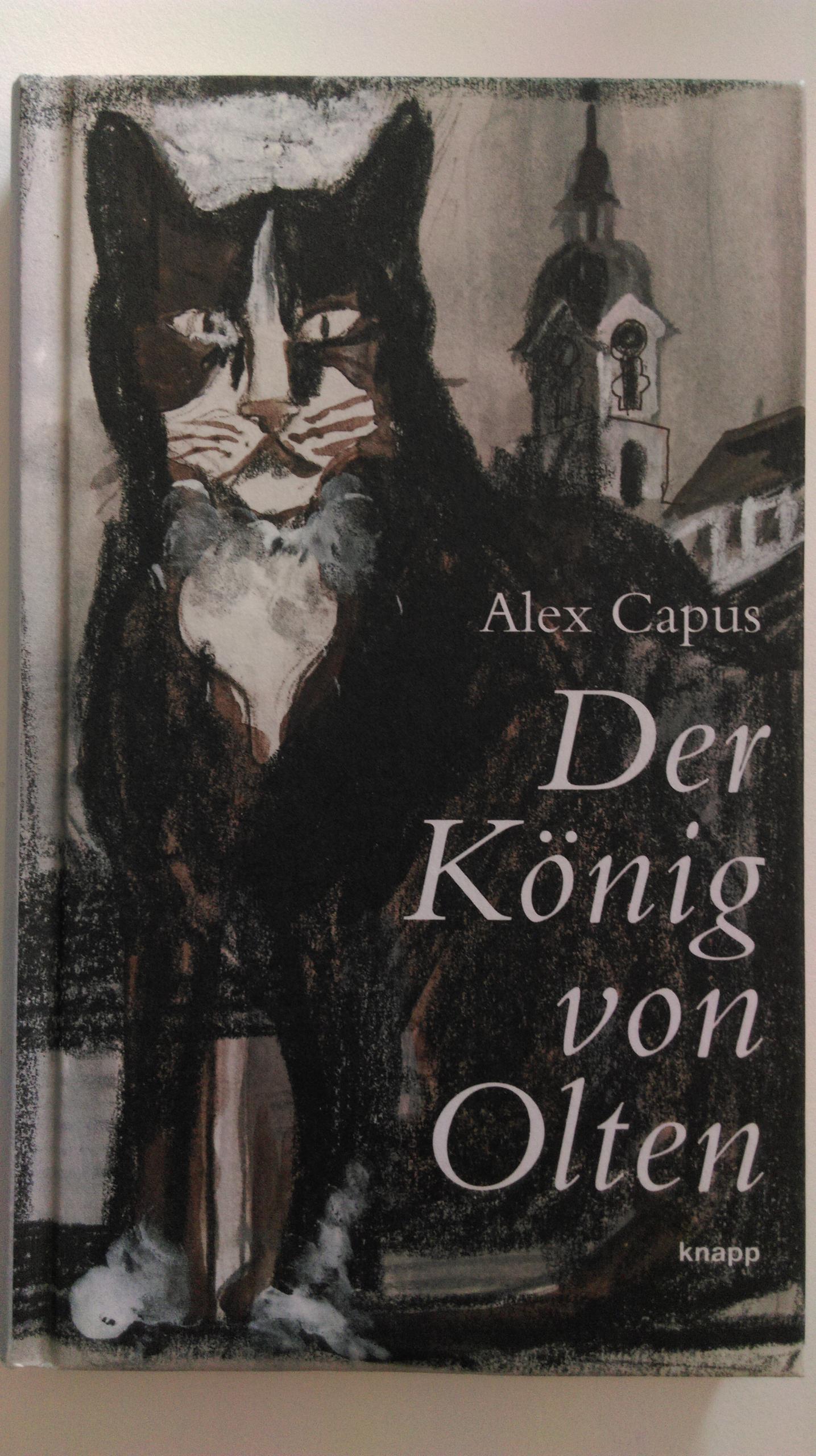 畅销书《奥尔腾之王》(Der König von Olten)令图卢茨名声大噪