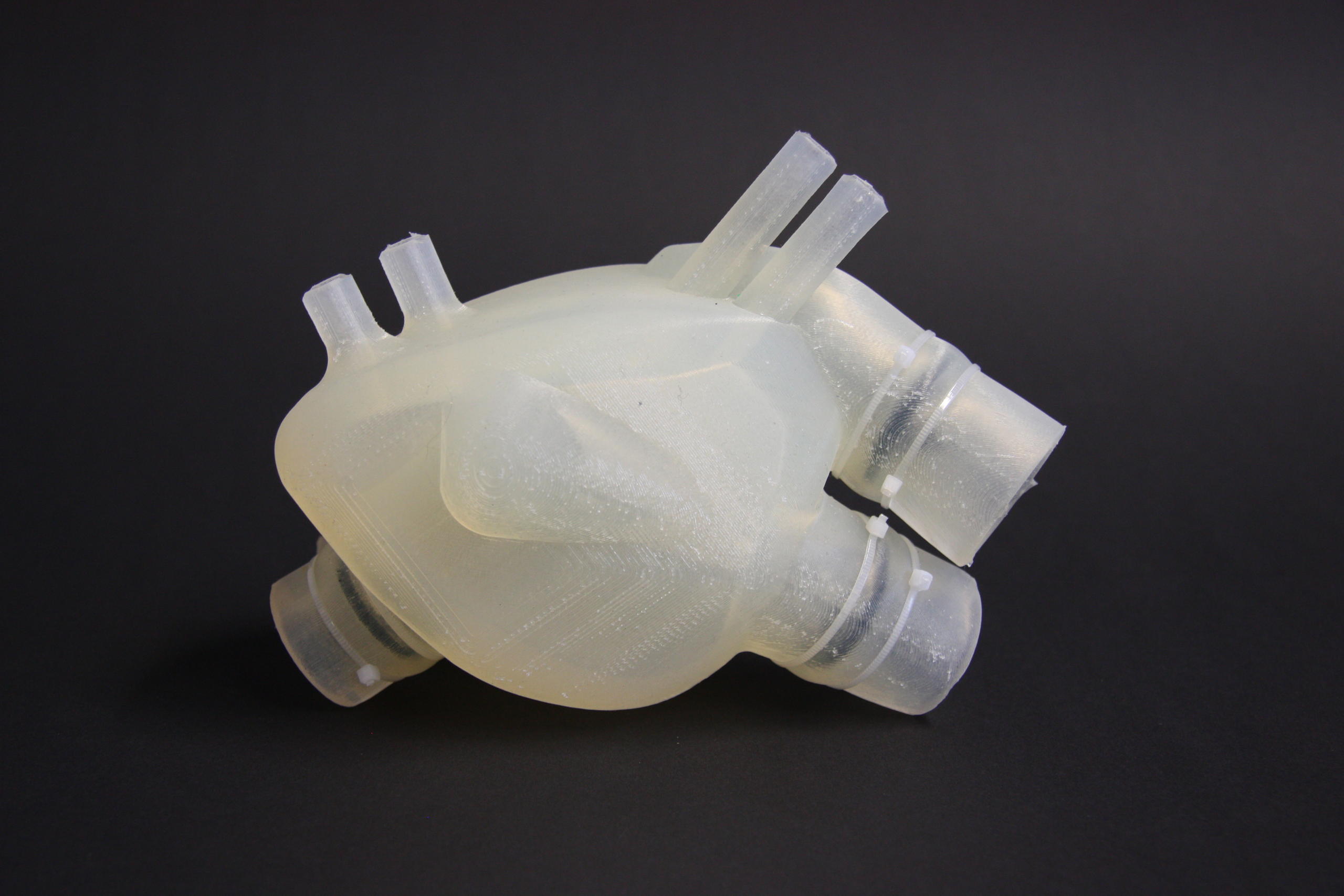 The artificial heart imitates a human heart as closely as possible