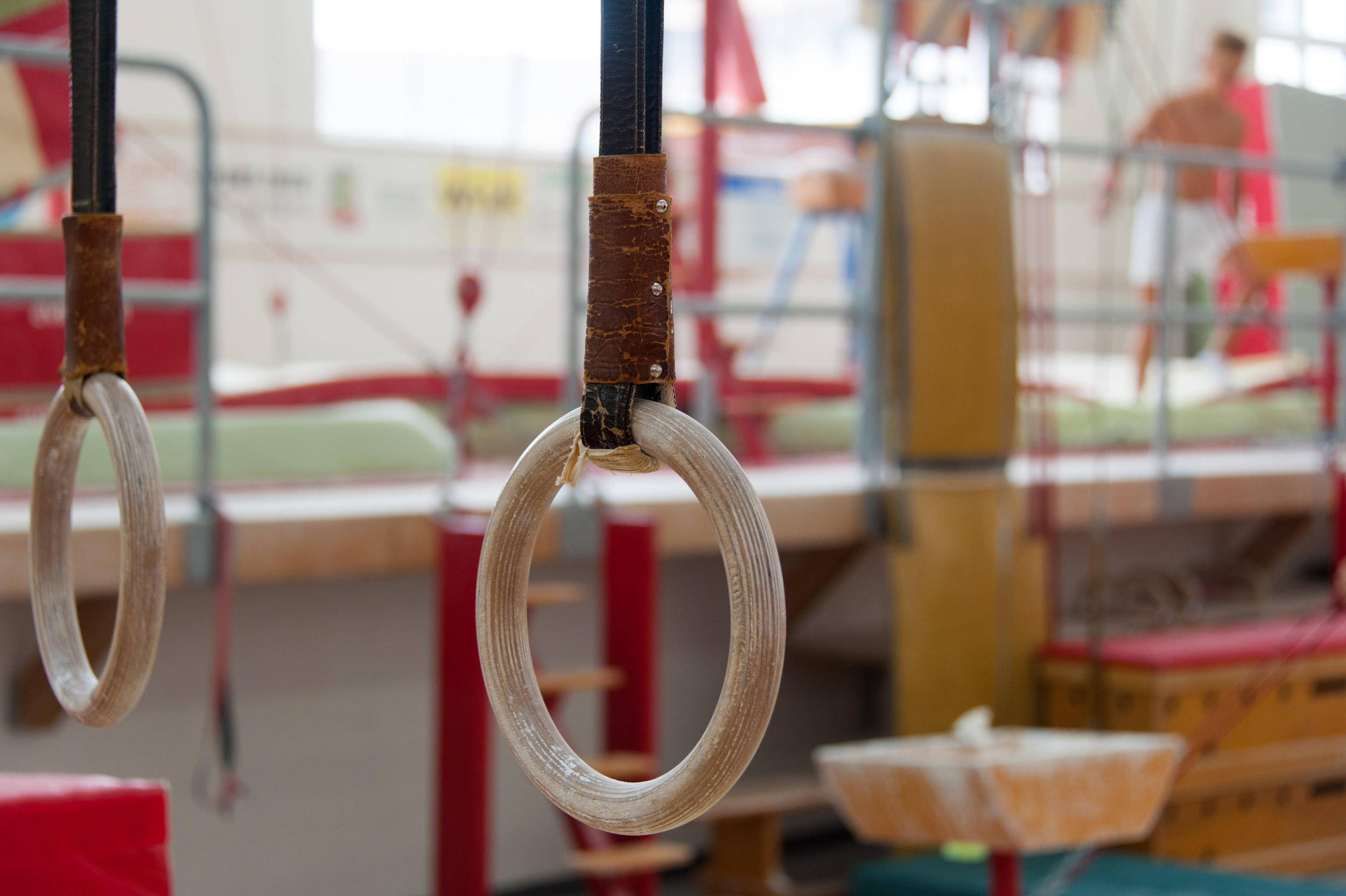 gymnastic rings