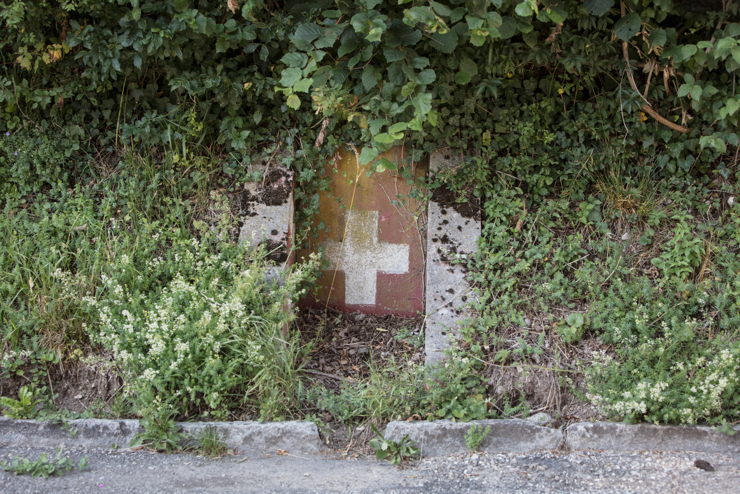 swiss cross