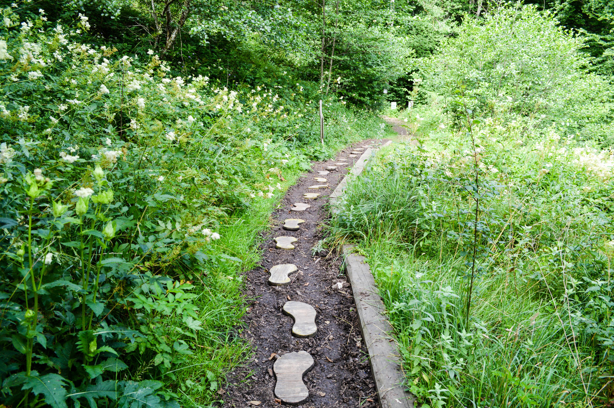 Pfad mit Füssen aus Holz