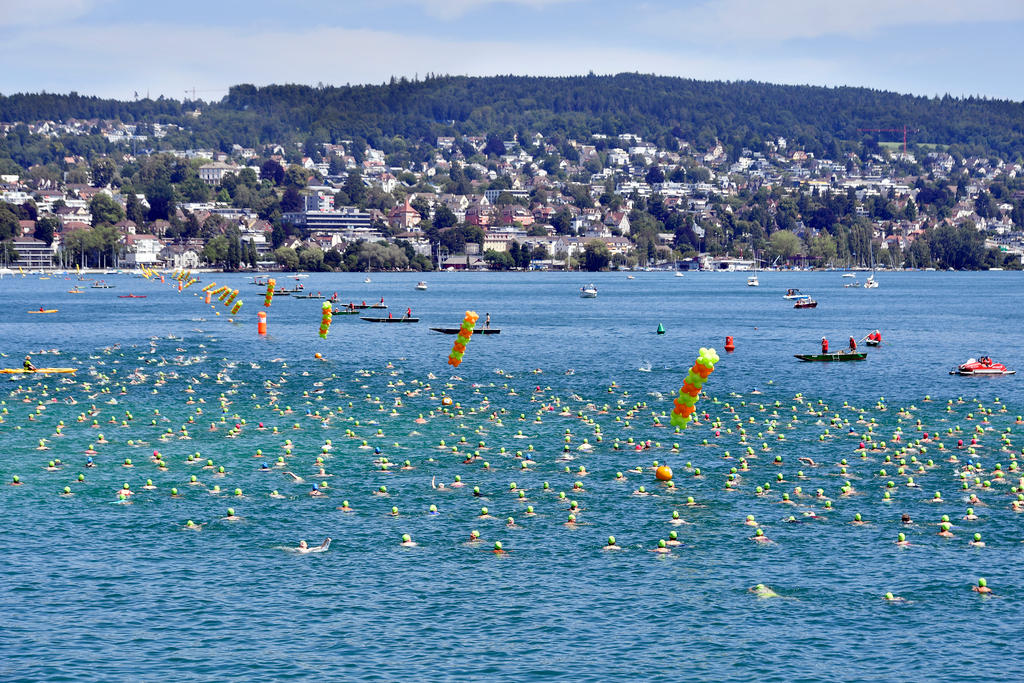 Пловцы-любители пересекают Цюрихское озеро