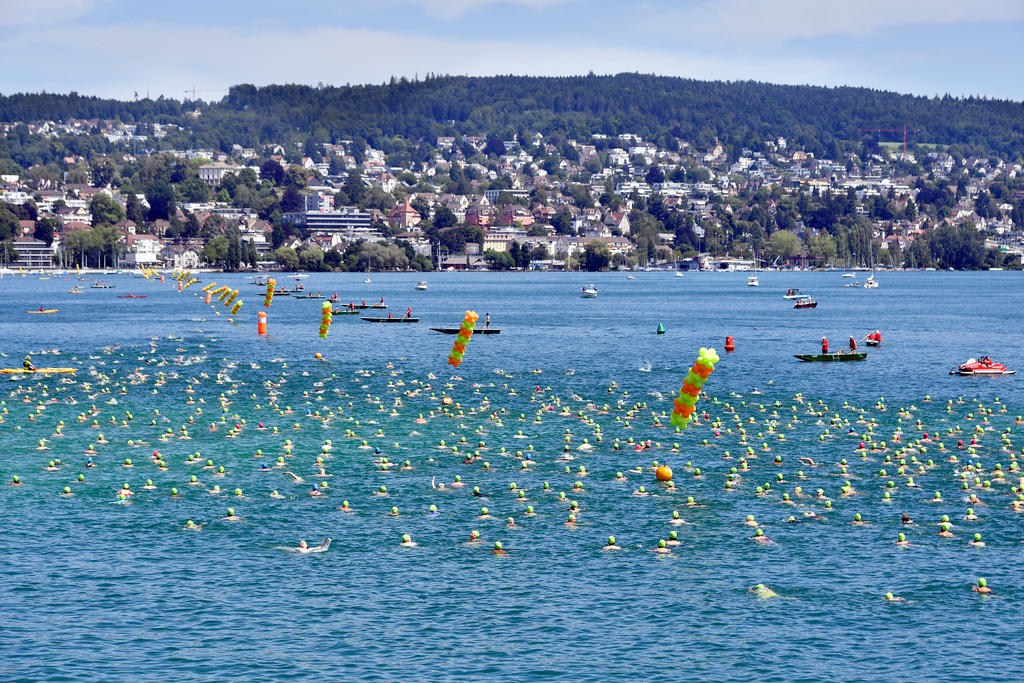 Menschen schwimmen über den Zürichsee