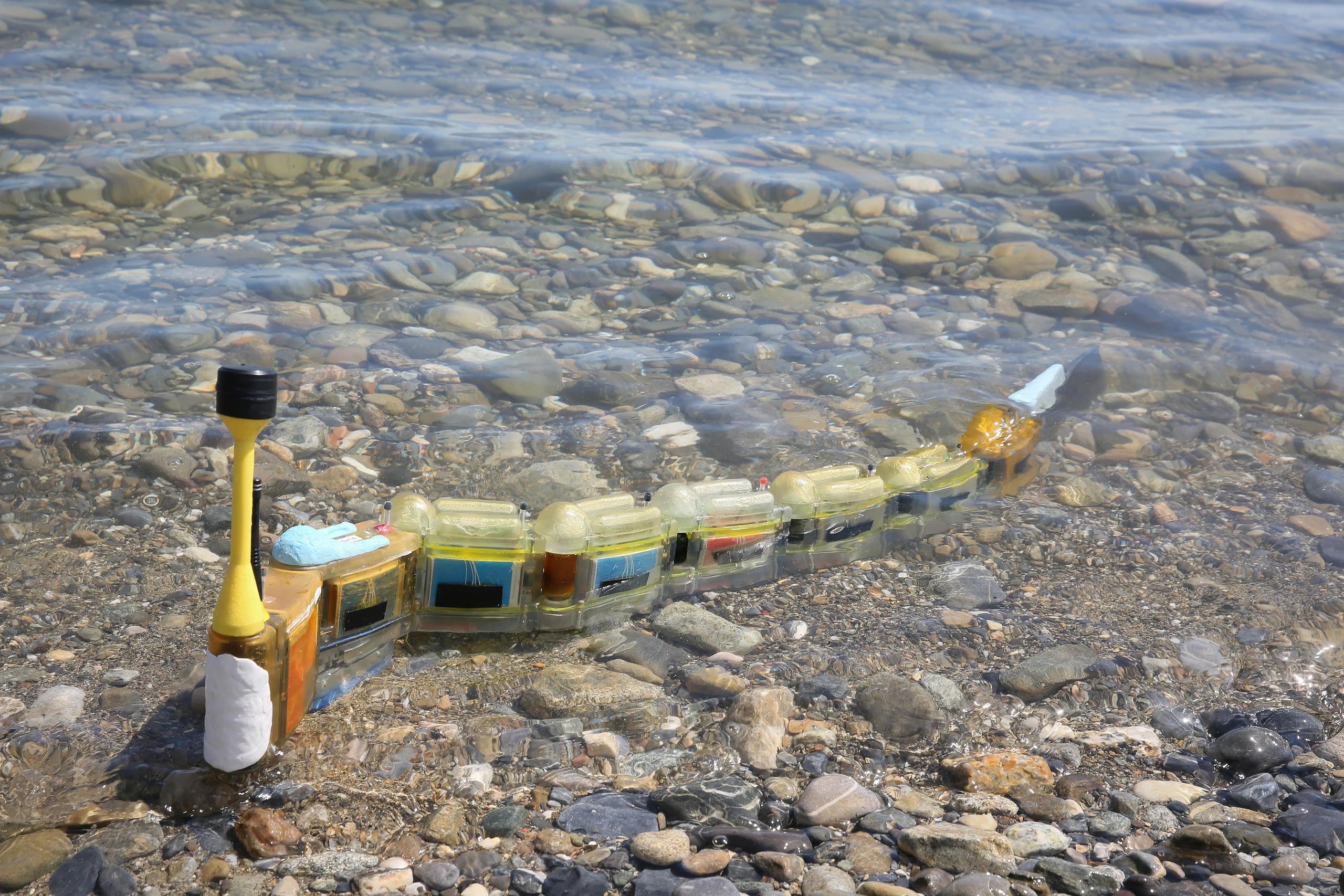 A robotic eel, Envirobot, developed by Swiss researchers to identify water pollution sources.