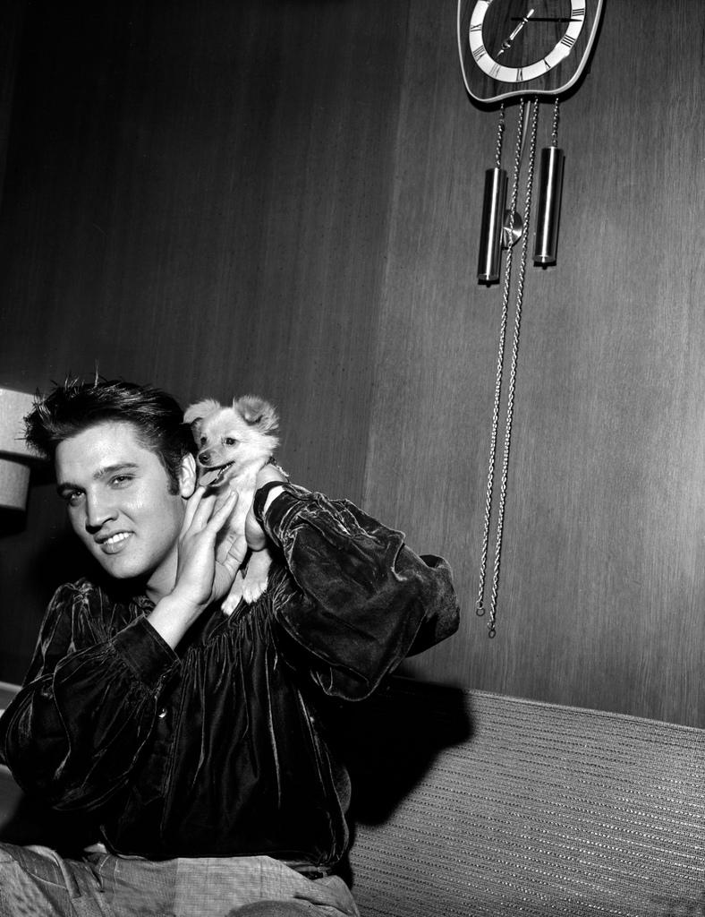 Elvis Presley with a hound