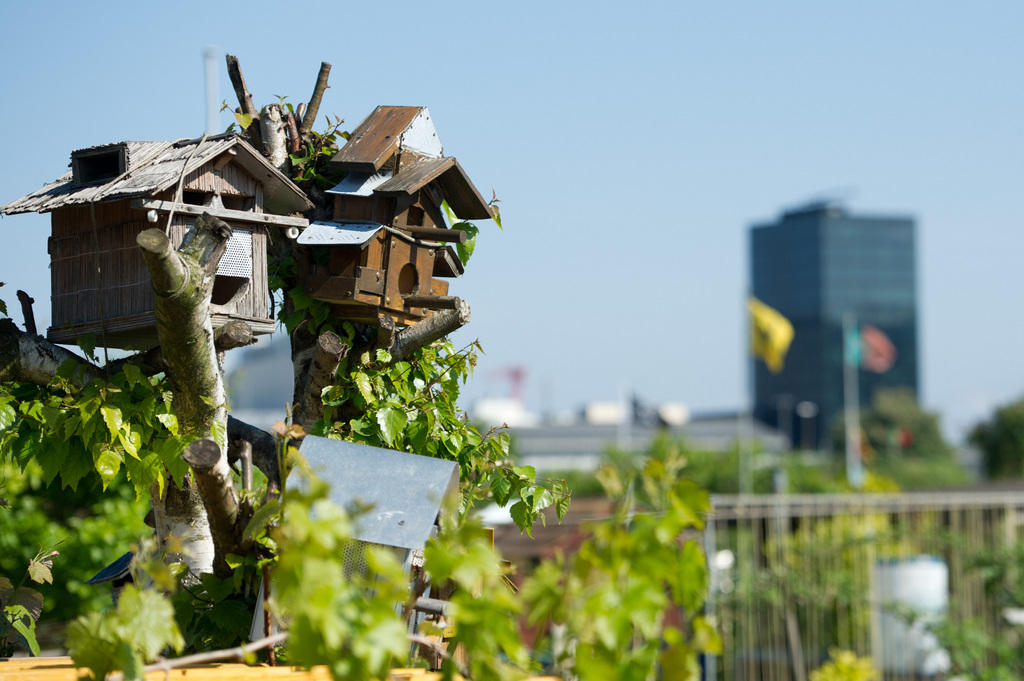 A birdhouse in the allotment garden area Vulkan in Zurich, May 5, 2011.