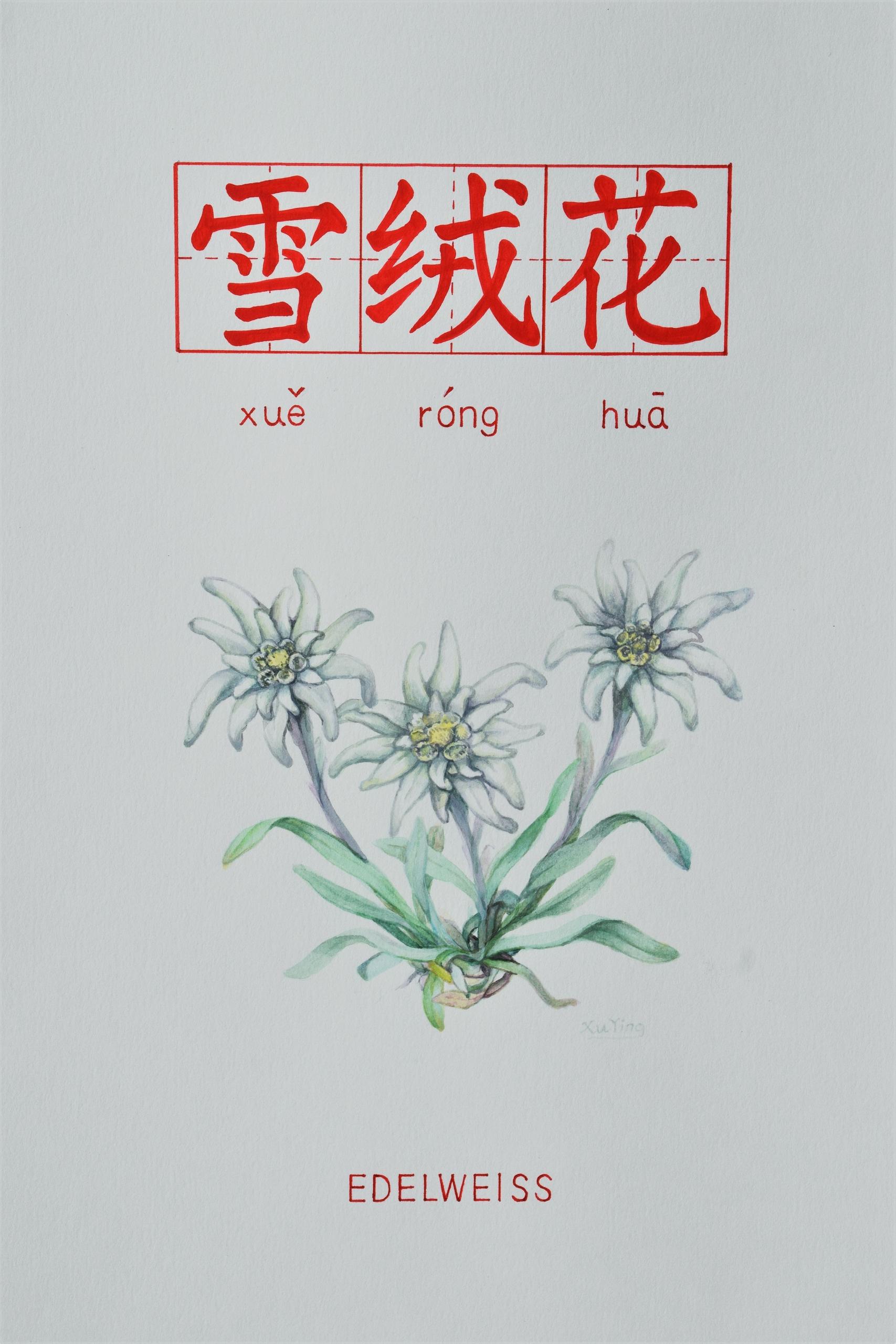 徐莺作品