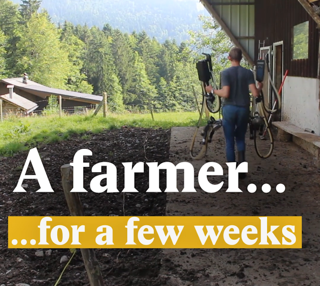 A cover image for Nouvo about young people interning in Swiss farms over the summer.