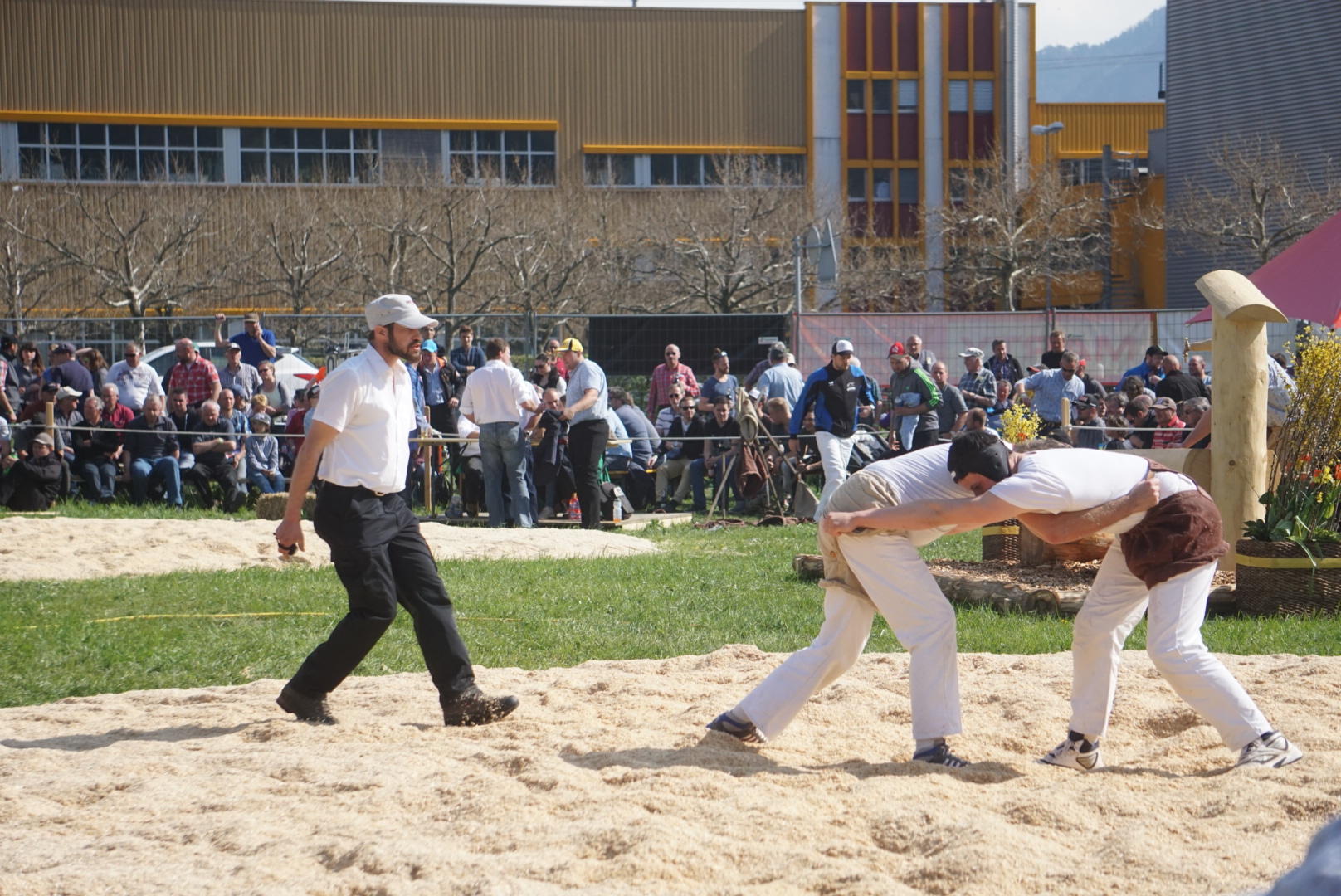 瑞士摔跤最常见的抗衡姿势
