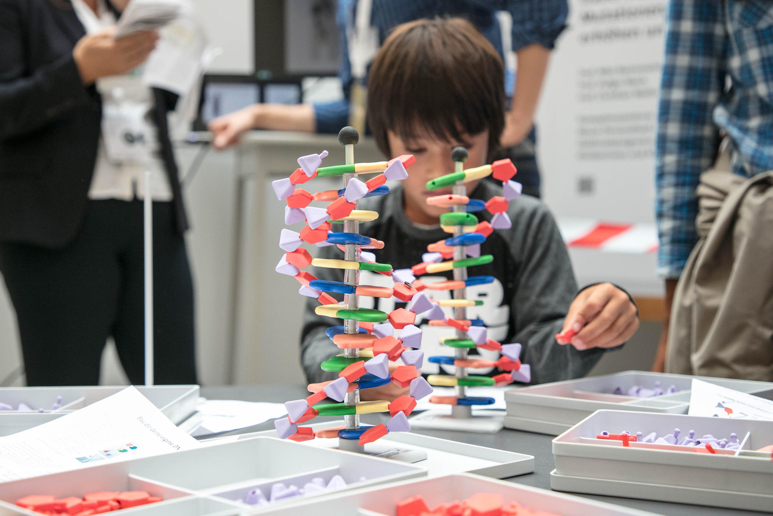 Un enfant construit sa chaîne ADN