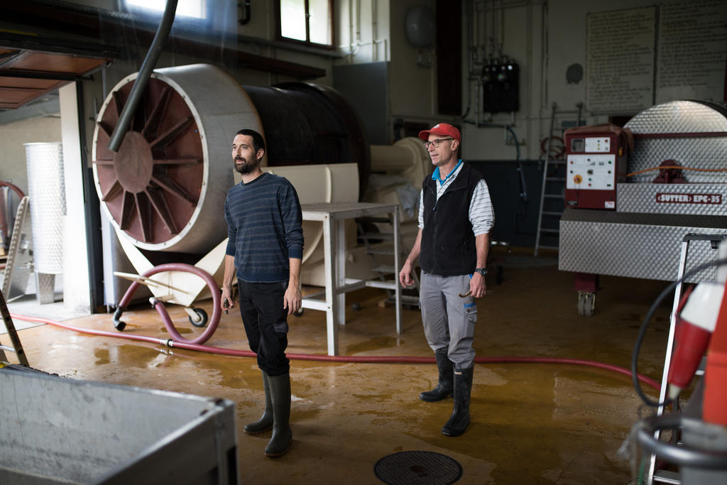 Employees of the Vocat et Fils wine cellar at Siders wait for the grapes to arrive.