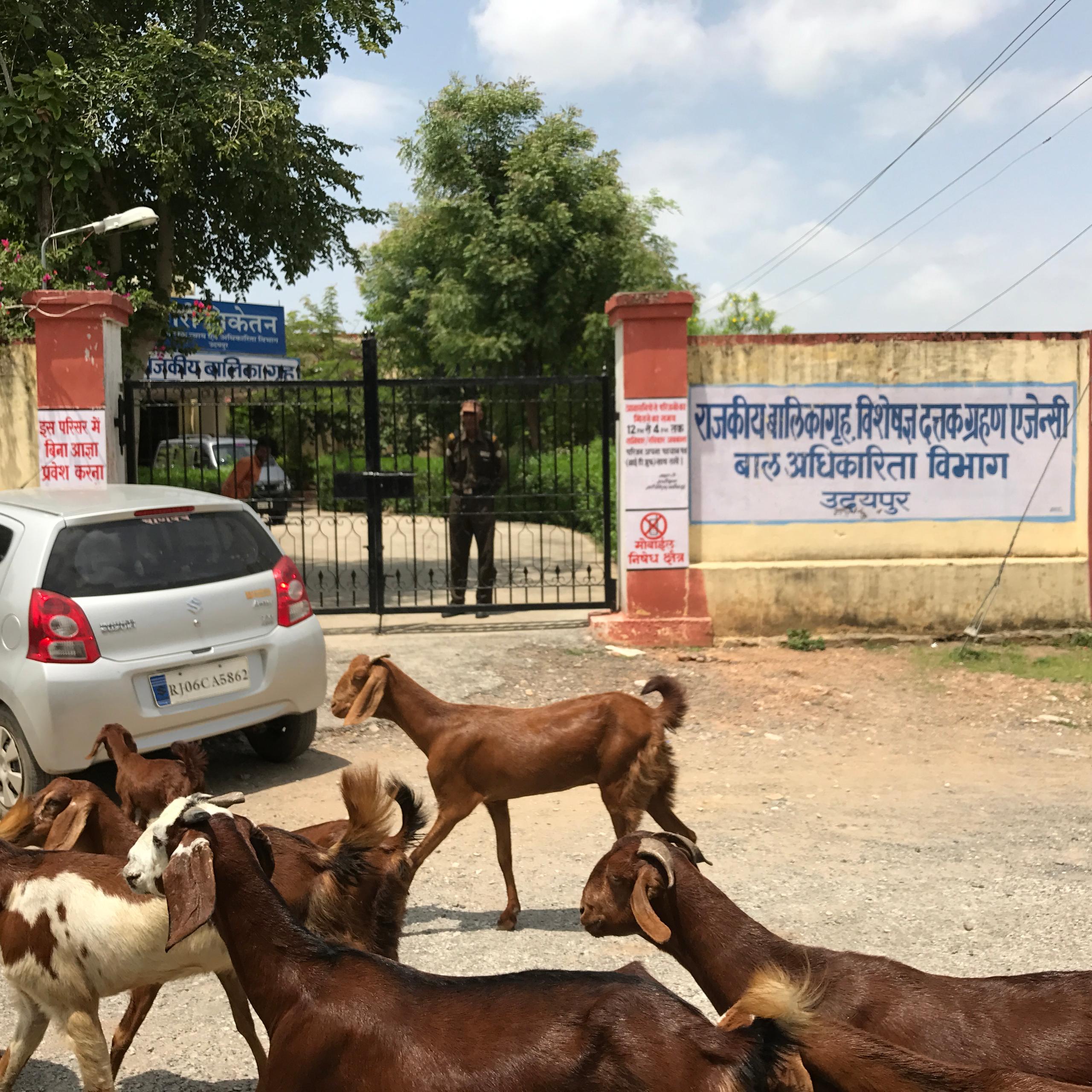 Udaipur girls shelter