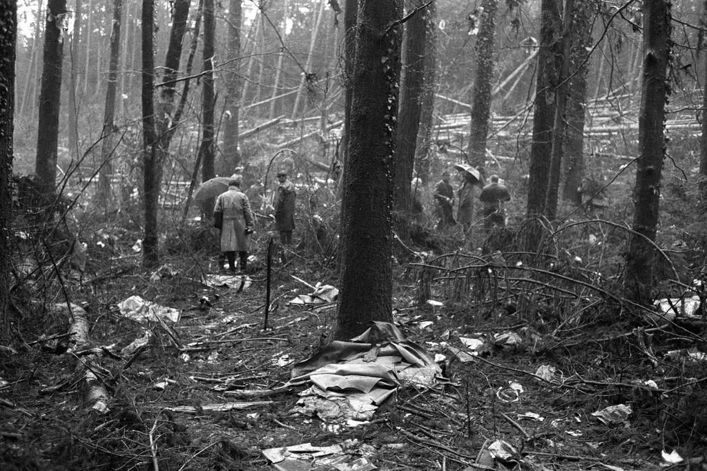 Trümmerteile eines Flugzeuges im Wald