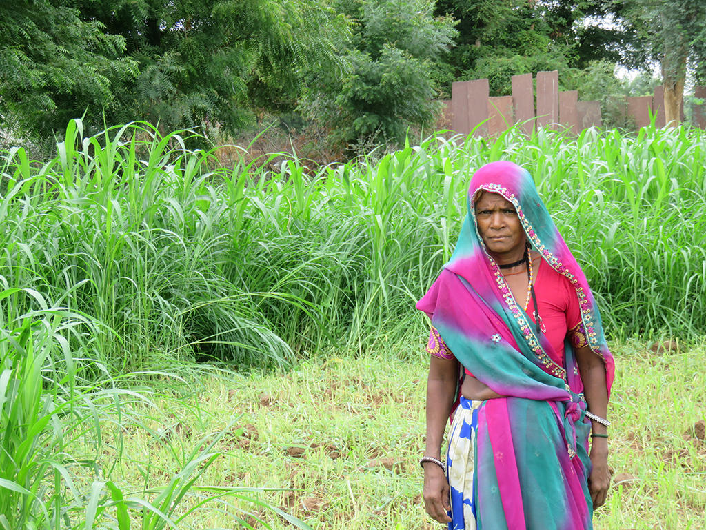 Nani in the field