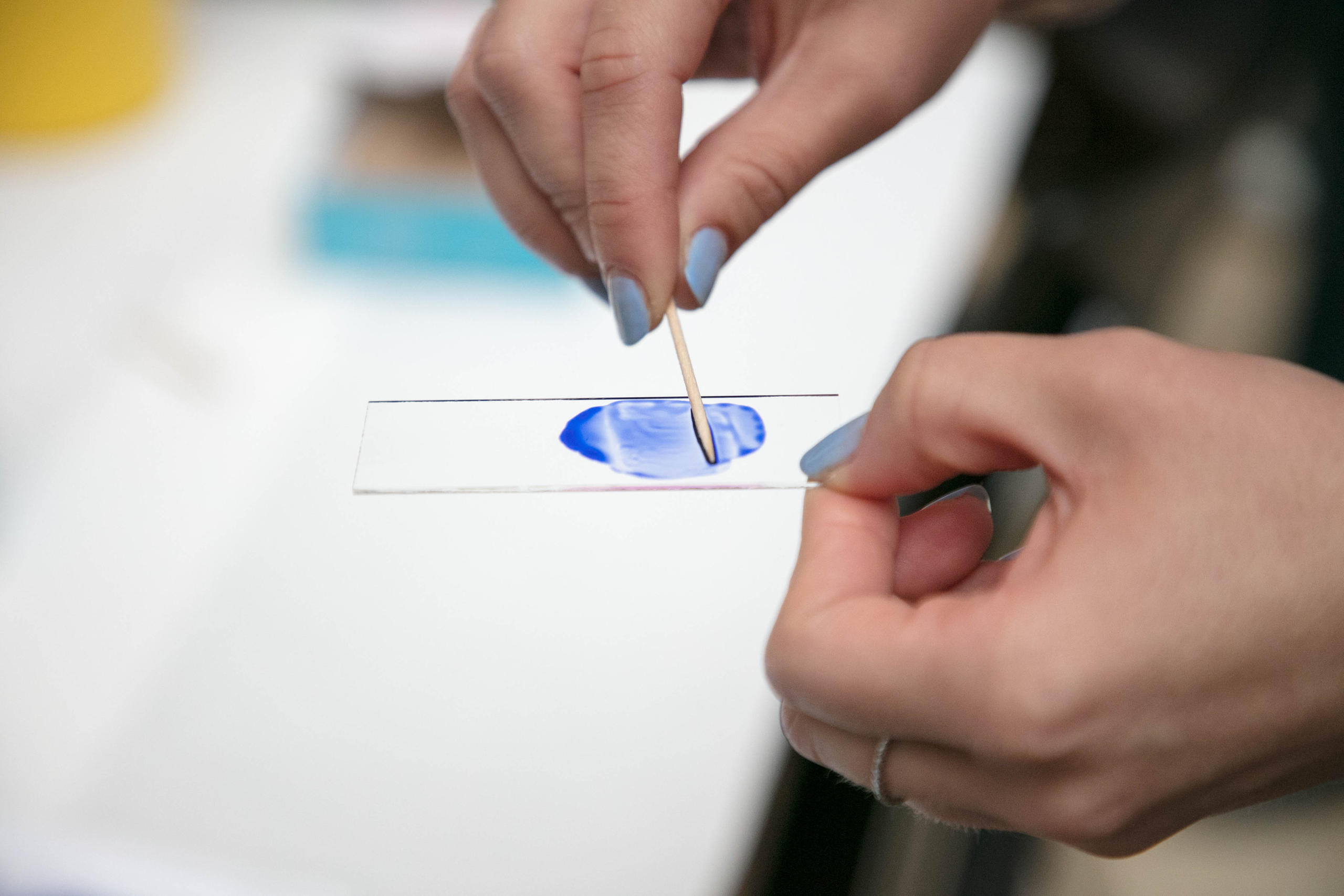 細胞を検出する実験