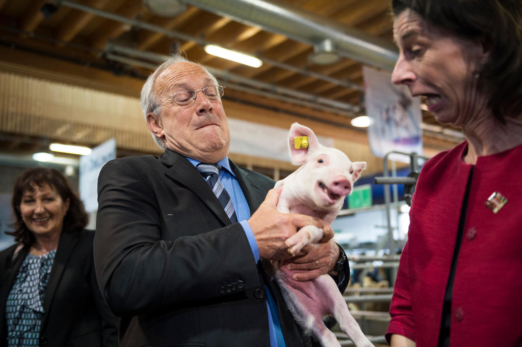 Johann Schneider-Ammann holds a piglet which struggling to get away