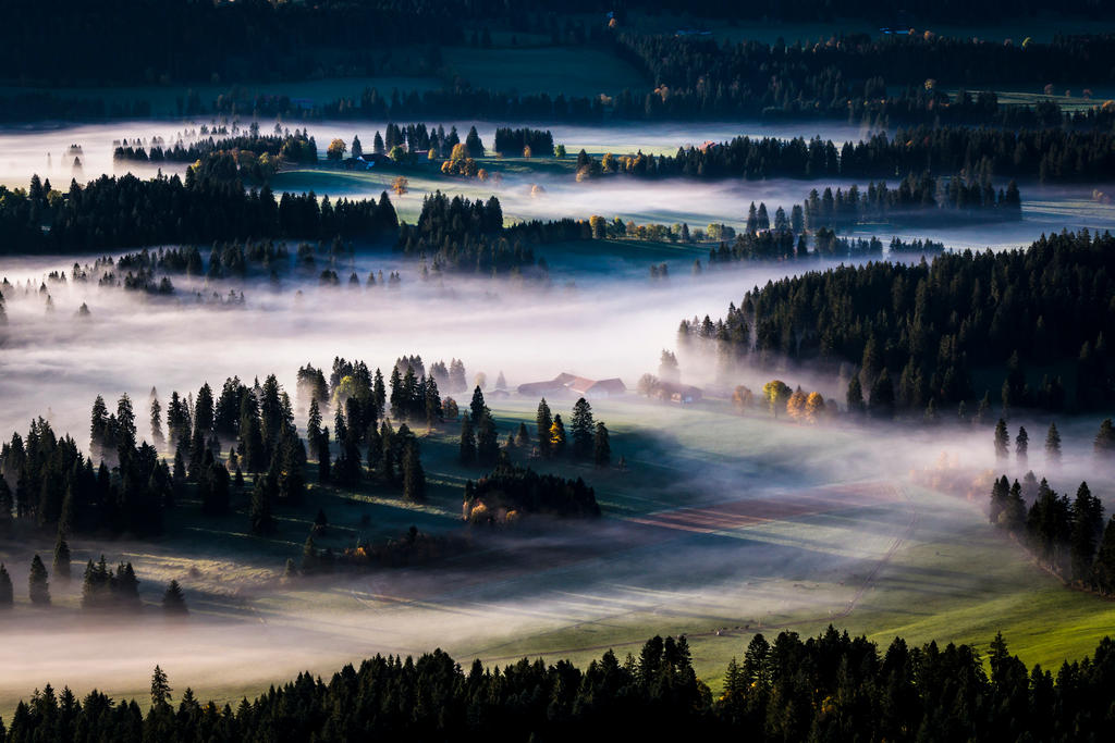 森と畑と霧