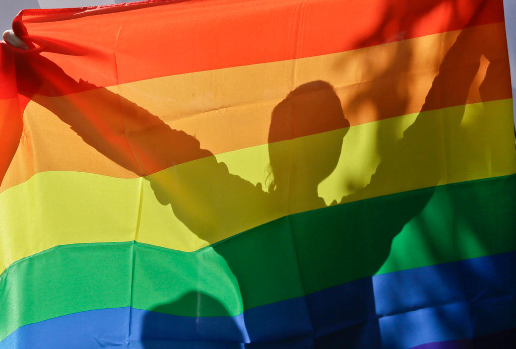 Gay pride flag with the shadow of a person behind it