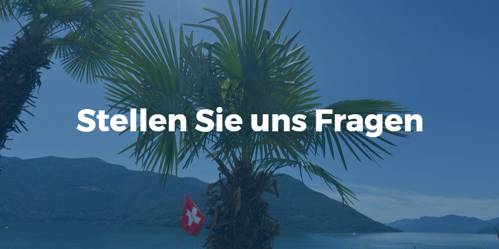 Vor Palme und Schweizer-Fahne steht der Spruch: Stellen Sie uns Fragen