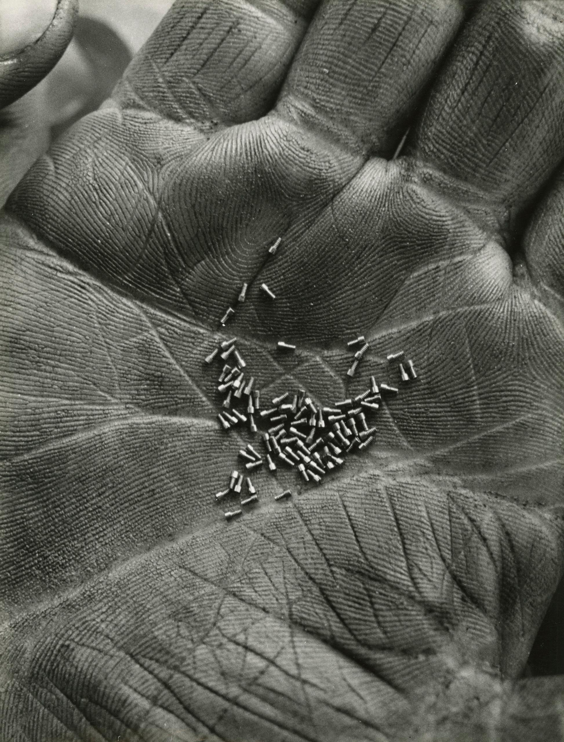 Маленькие винтики на ладони, 1942