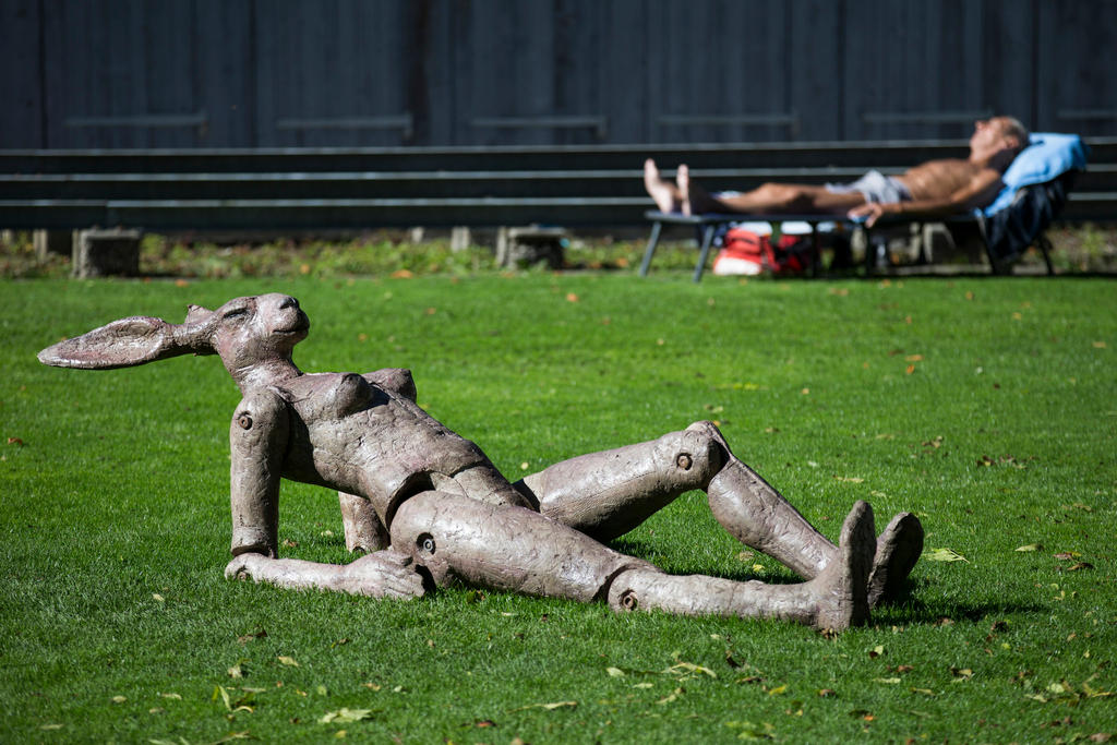 Die hölzerne Figur eines Hasen sonnt sich in einer Wiese, während im Hintergrund ein Mann auf einem Liegestuhl liegt