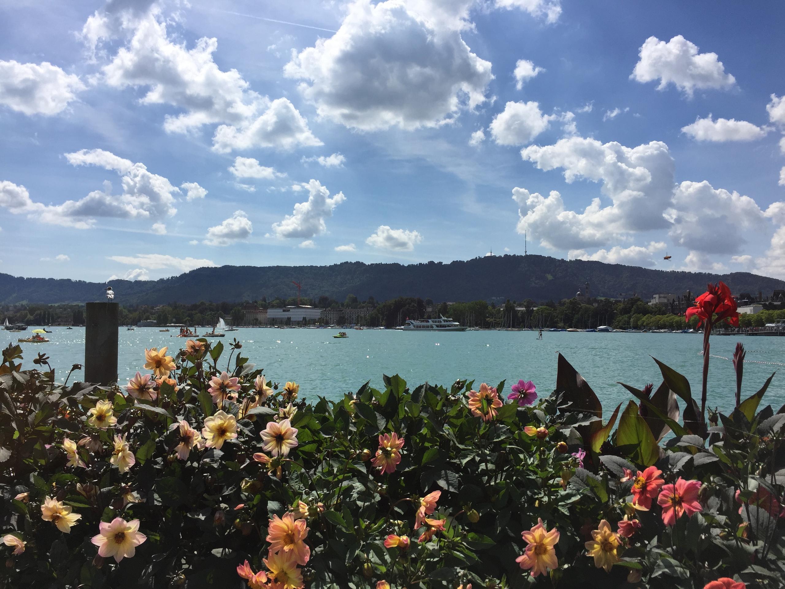 瑞士小公司奇遇记