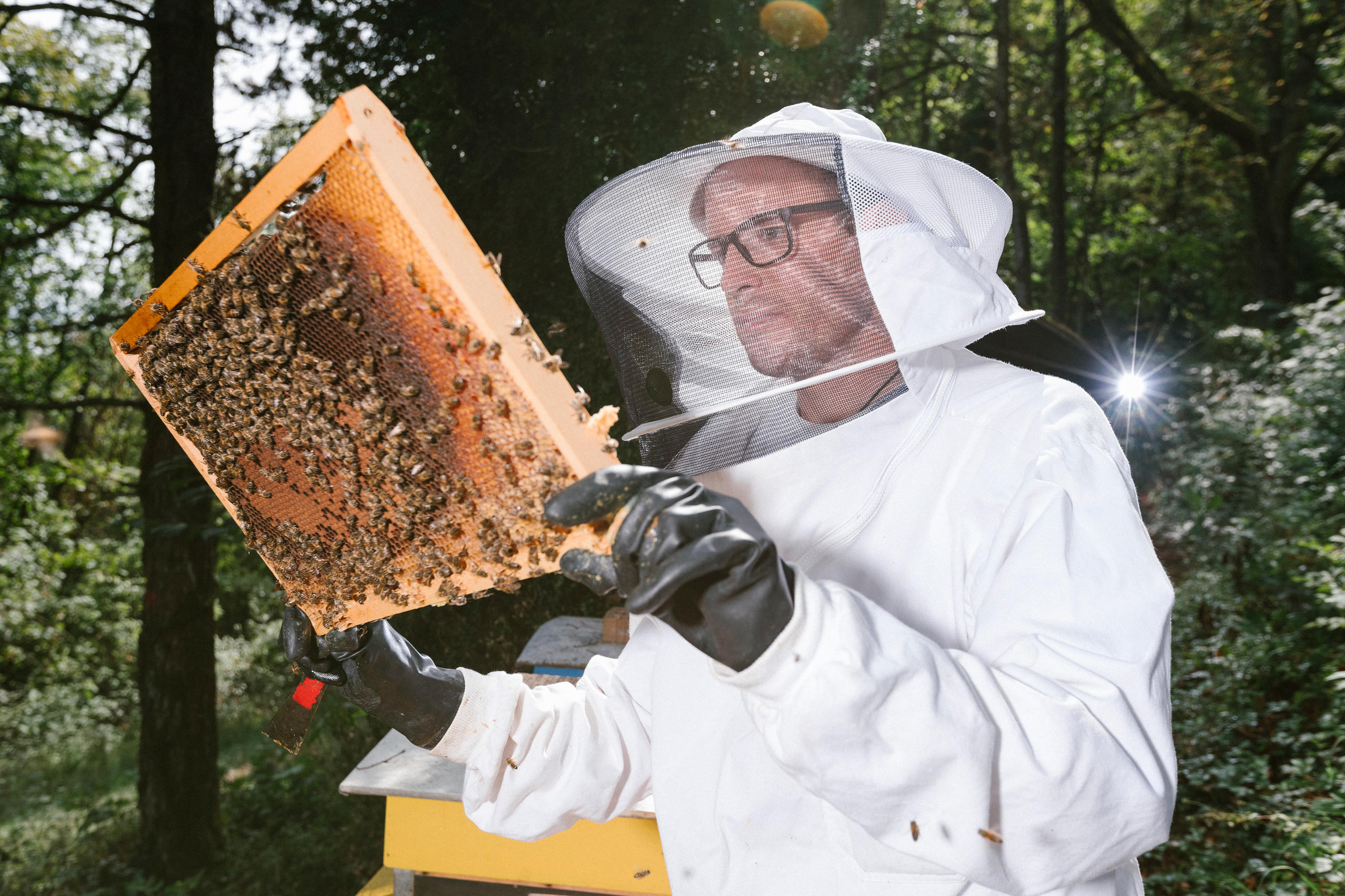 beekeeper