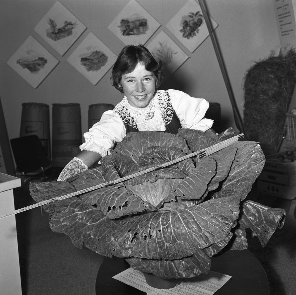 一名图尔高州的村姑在展示她的卷心菜有多大，1957年。