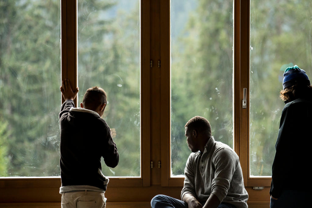 Drei Asylsuchende schauen aus einem grossen Fenster, im Hintergrund stehen Bäume.