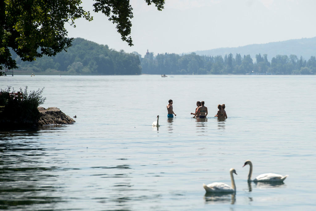 Bathers in Lake Hallwil