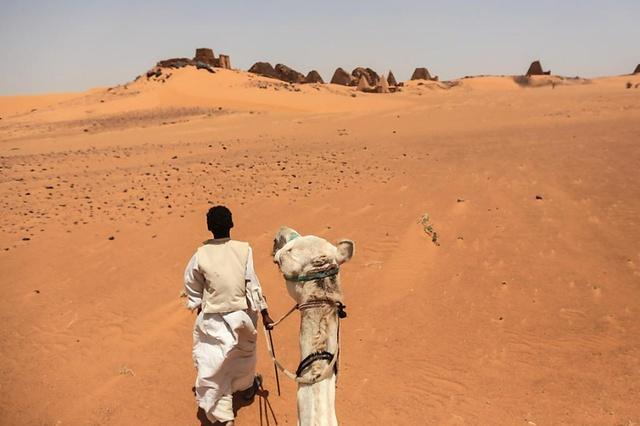 A person leading a camel in the desert
