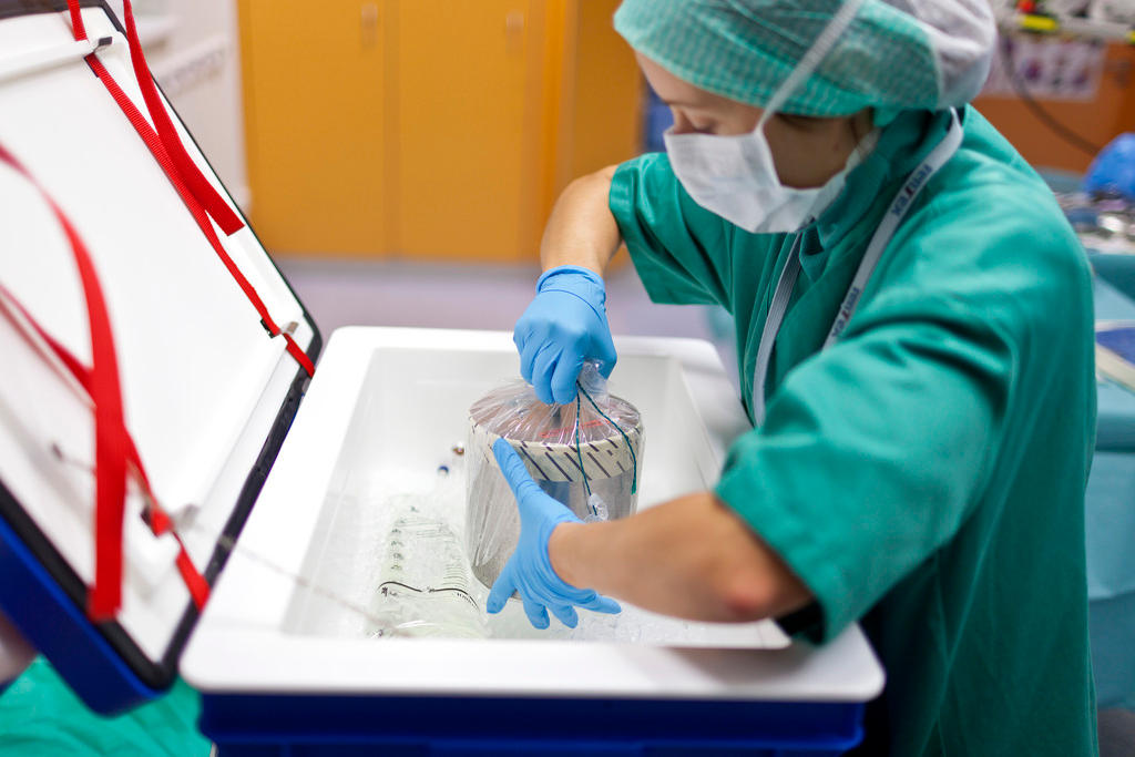 A heart being taken out of a refrigerated box ahead of a transplant operation