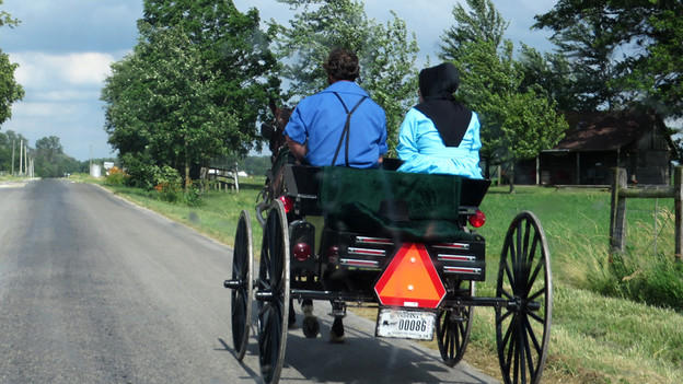 Zwei Amische sitzen in einer Kutsche