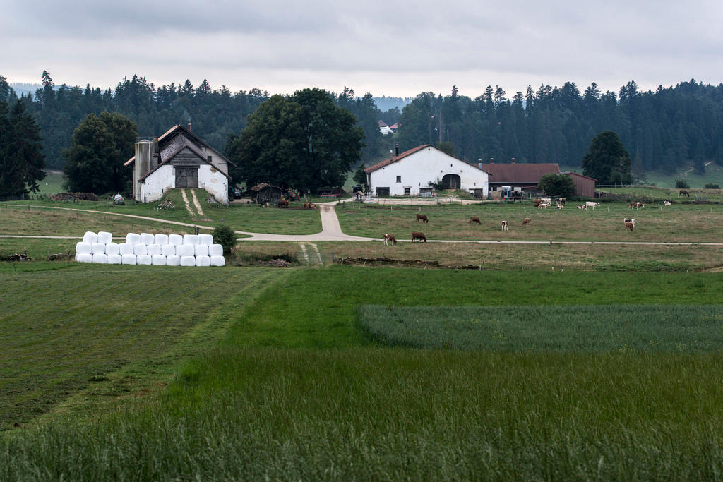 Farm in Jura region