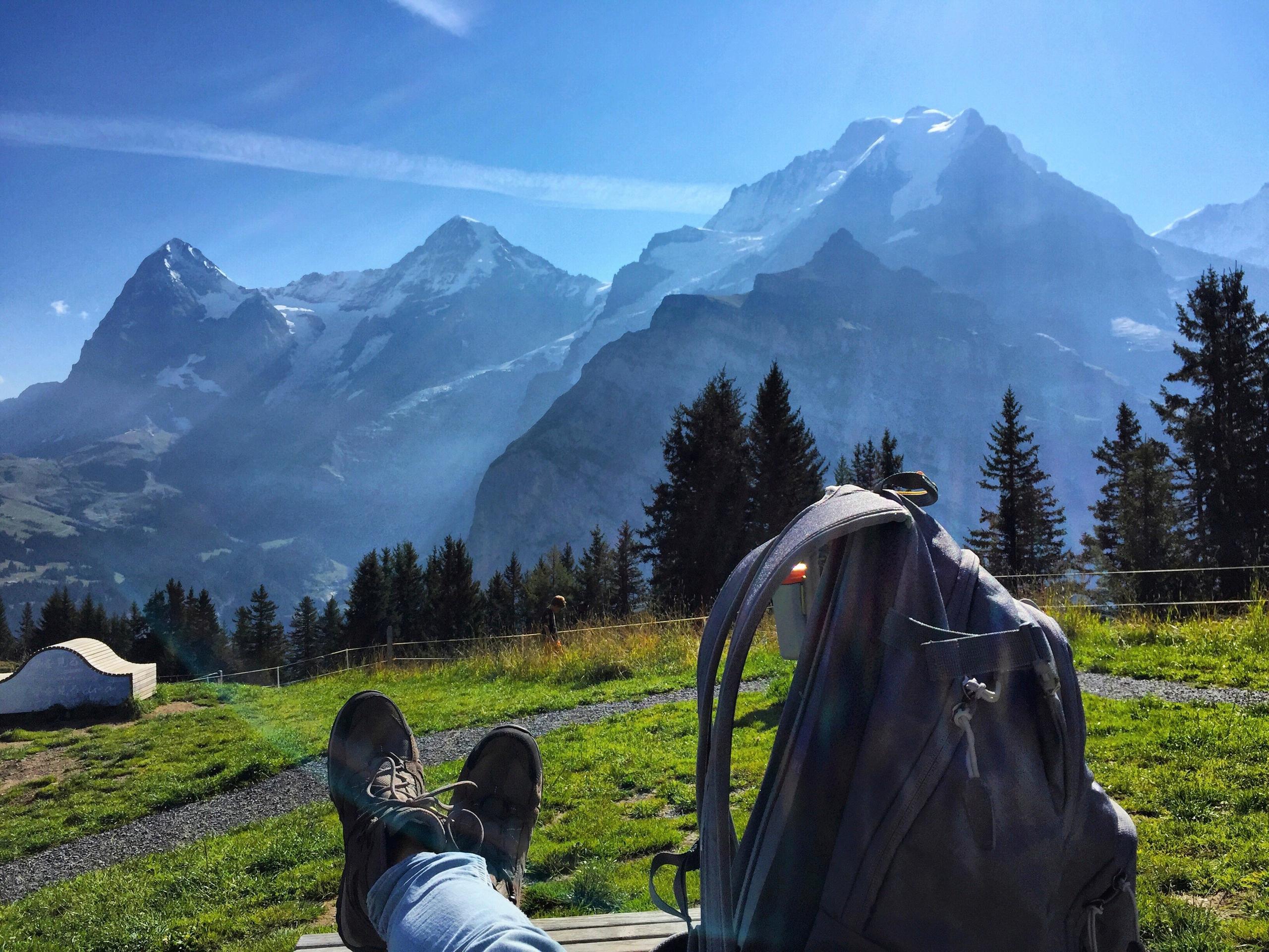 這些地方我確能坐上一個下午晒太陽，奢侈地發呆。