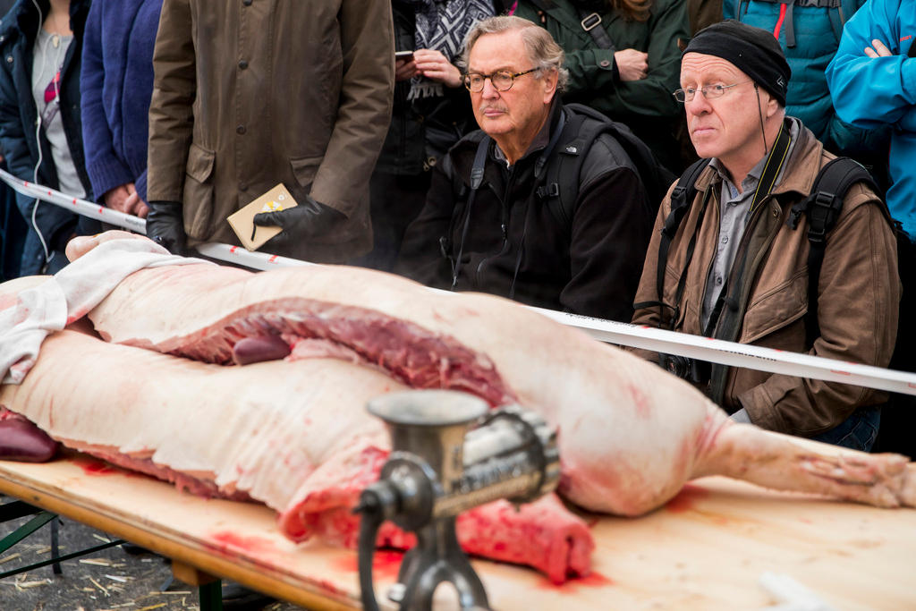 The audience sits in front of a butchered pig