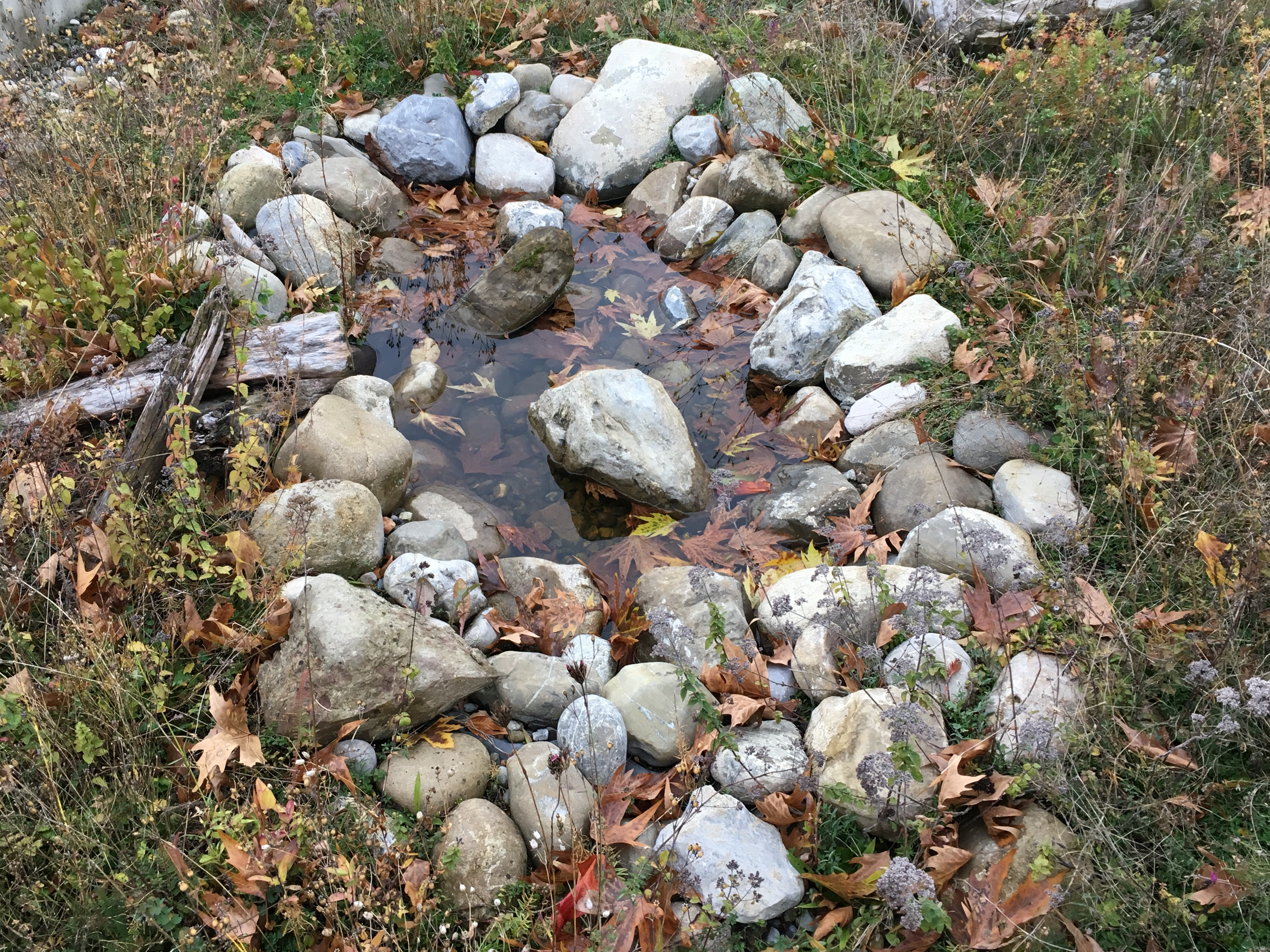 Prototyp eines Dachteiches von nur einem Quadratmeter Grösse an der Gartenbauschule Lullier in Jussy