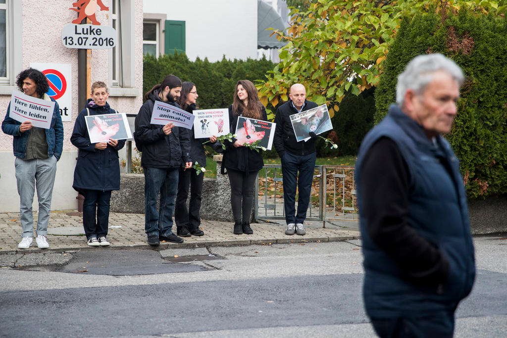 gente che protesta contro la macellazione del maiale