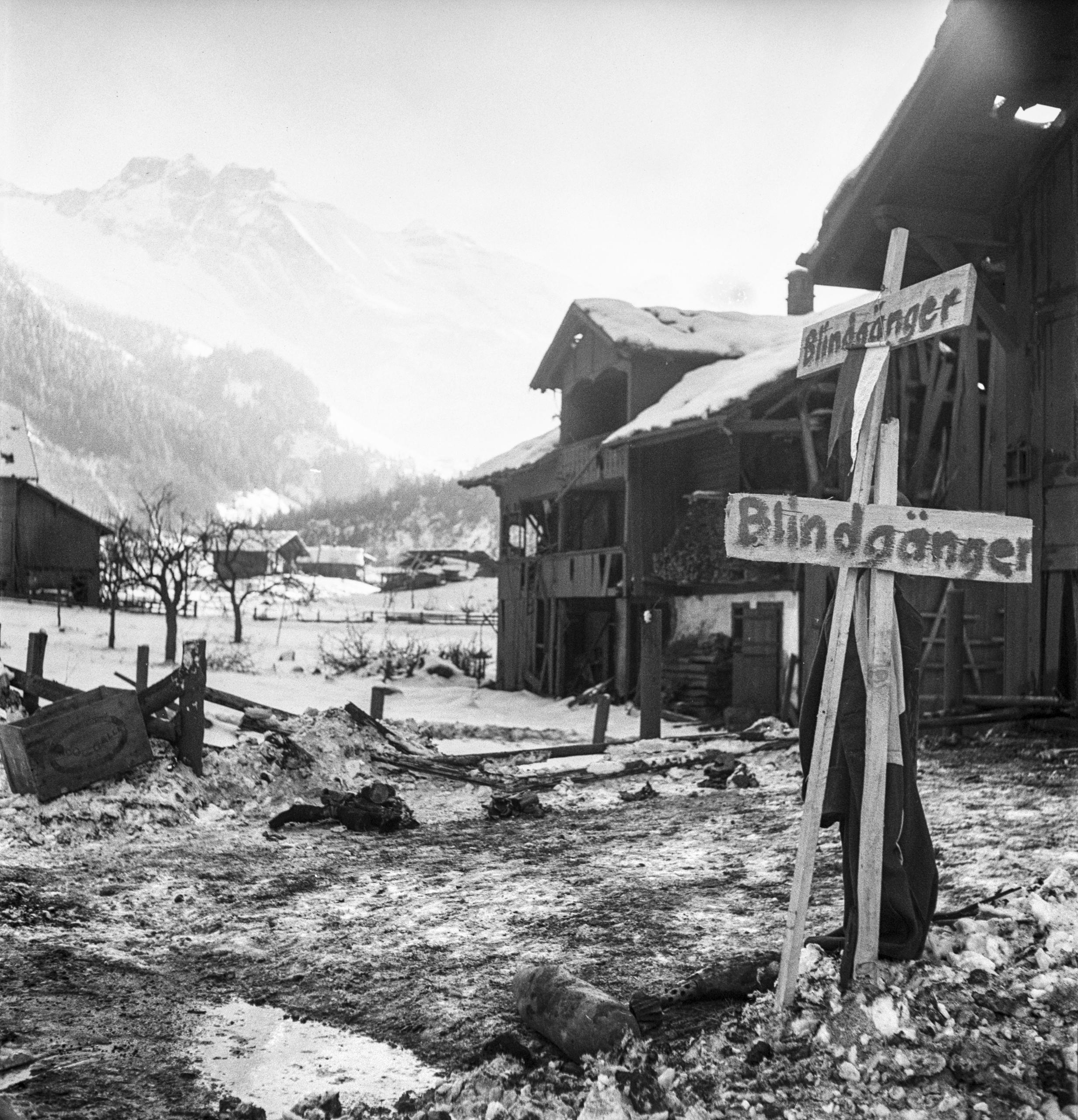Signs in front of a mountain.