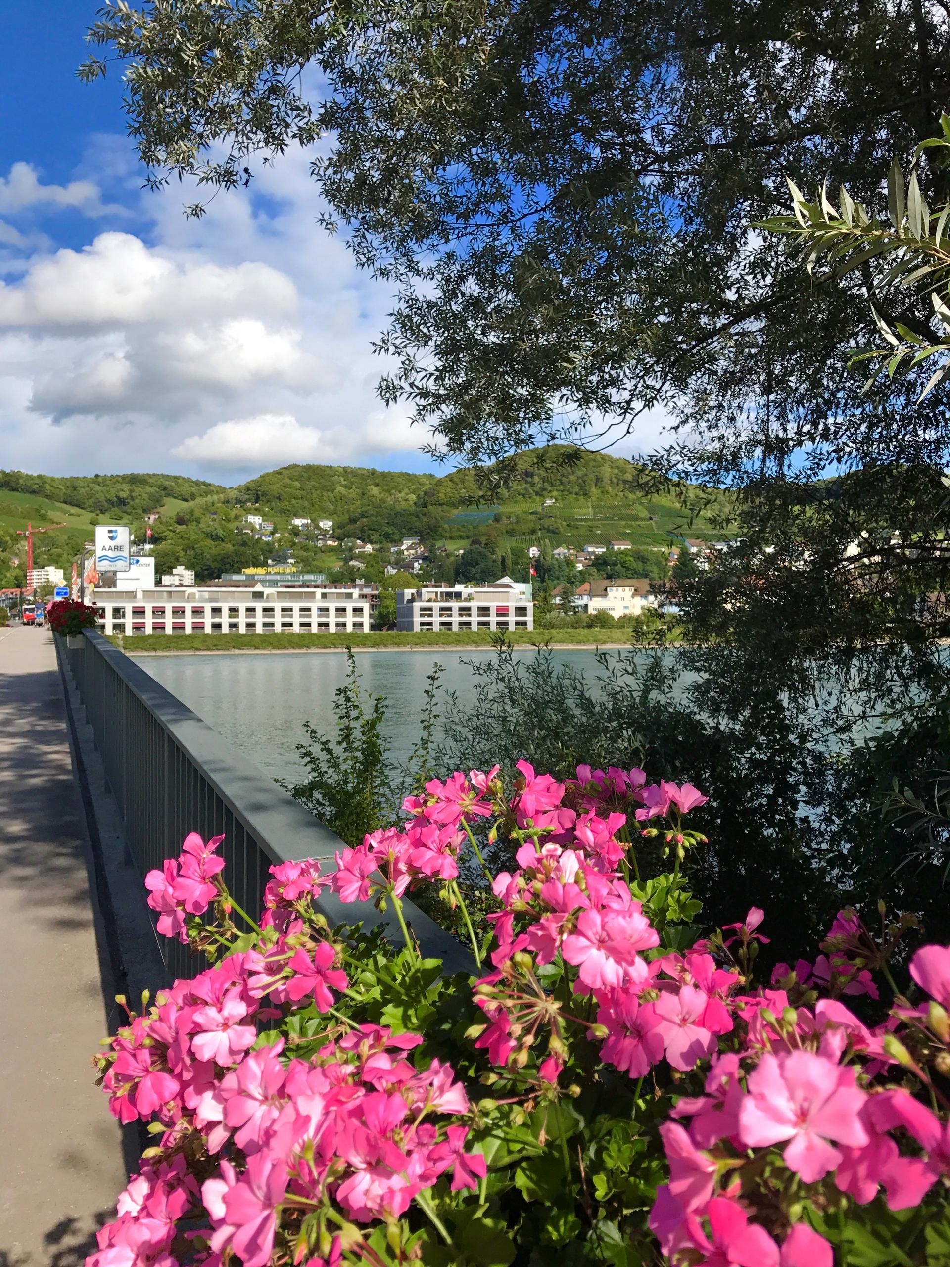 每天映入眼帘的,都是天蓝、地绿、水清、花艳、云白……空气新鲜得令人醉氧,让我这个在北京体会过雾霾天气的人感到呼吸的畅快和甘醇。