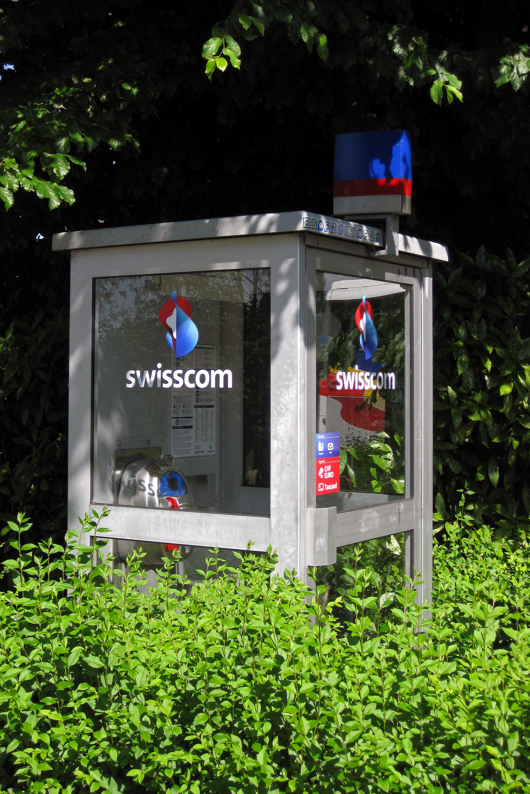 Cabine téléphonique envahie par des plantes.