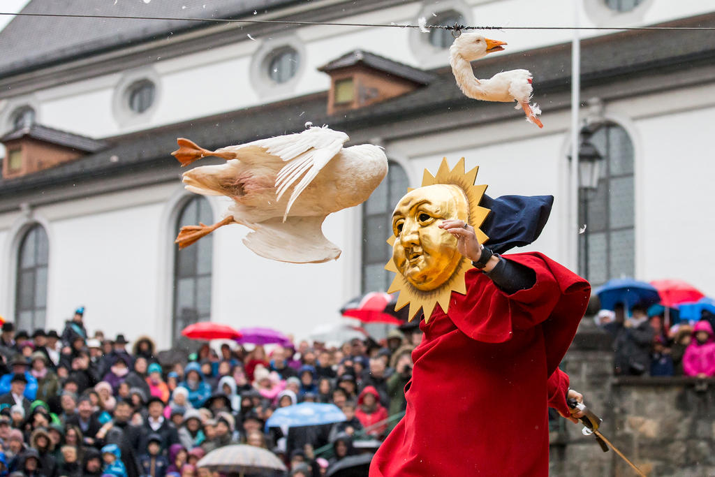 Geköpfte Gans und ein Mann mit einer Sonnenmaske