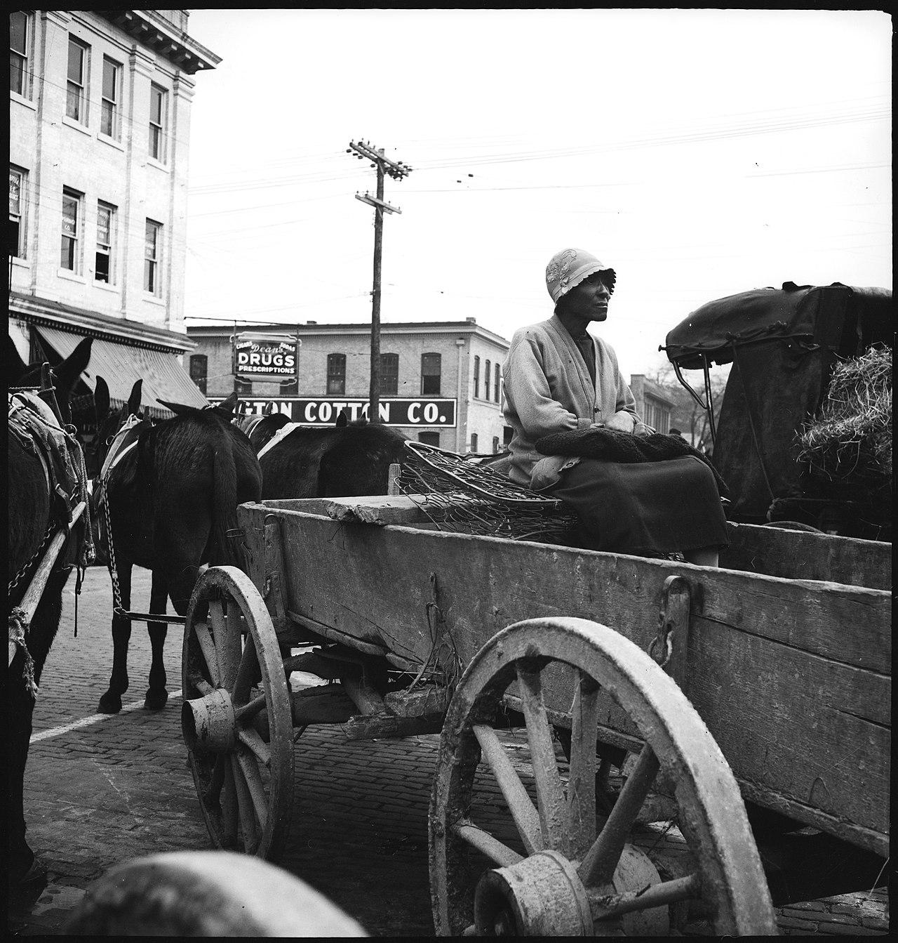 Homem em carruagem, Montgomery, Alabama. 