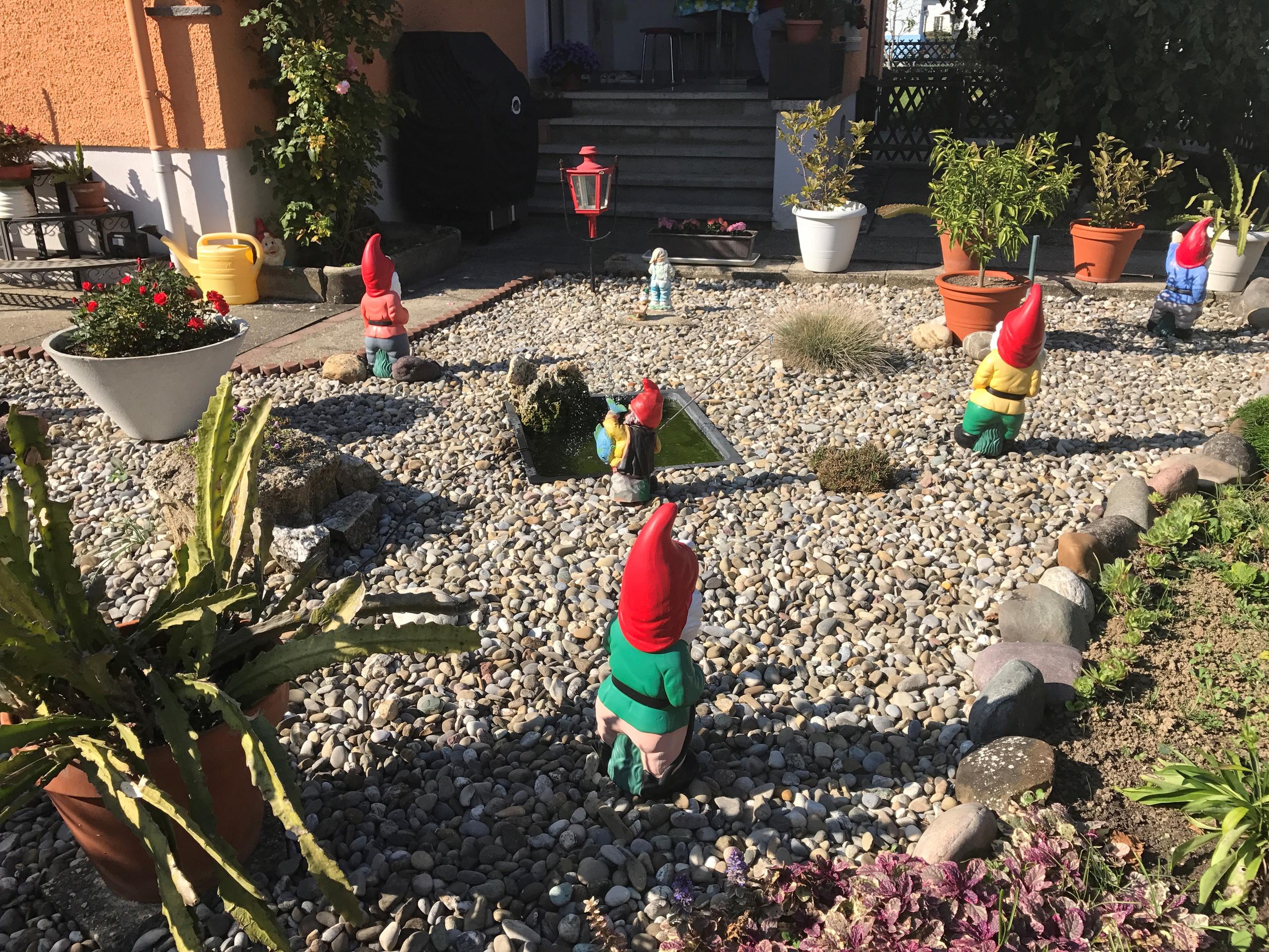 来瑞士21天时,我每天穿的黑皮鞋始终没有擦过,标配的白袜穿一天下来也都是干净如新。