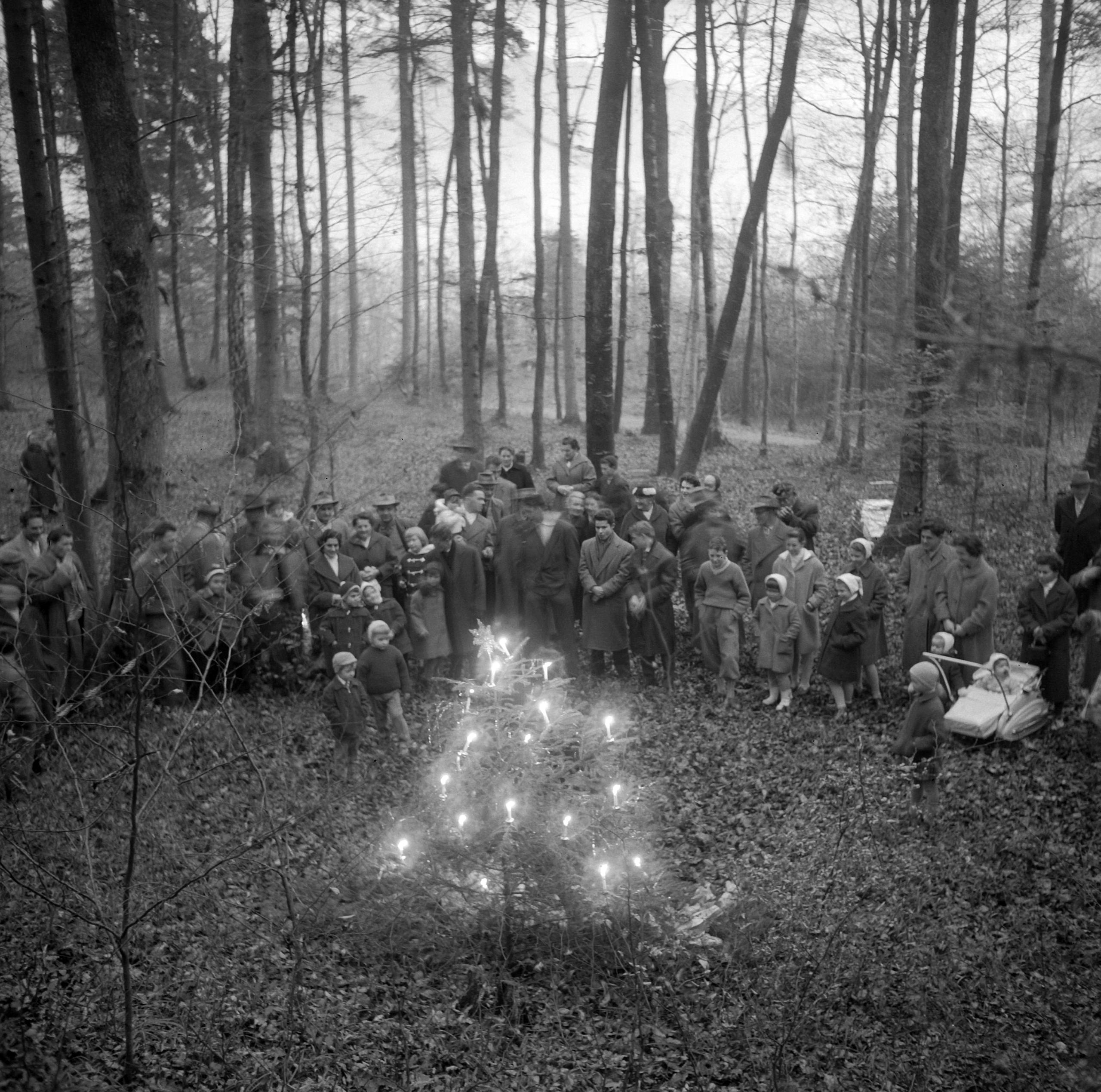 Menschen stehen im Wald um einen Tannebaum