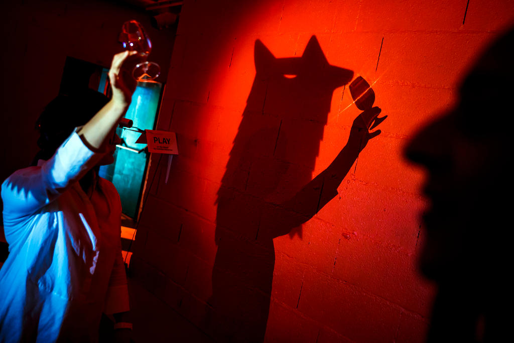 Schattenspiel, ein Fuchs mit einem Glas Wein