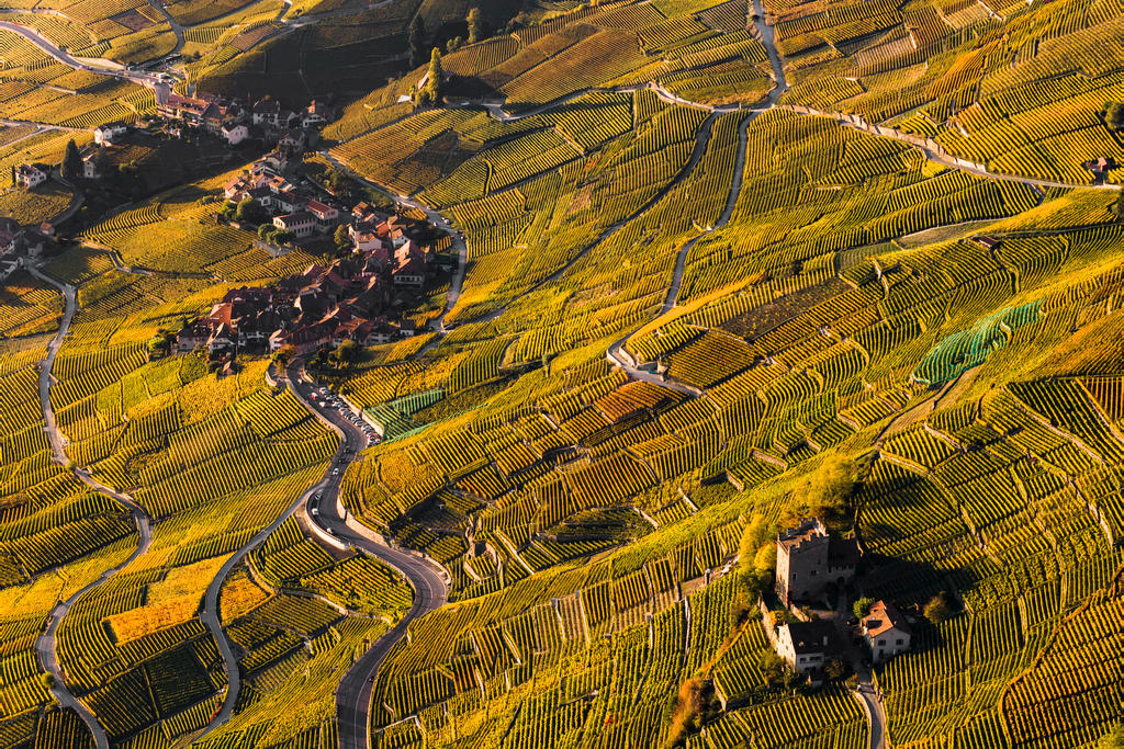俯瞰联合国教科文组织世界遗产日内瓦湖畔拉沃(Lavaux)葡园梯田