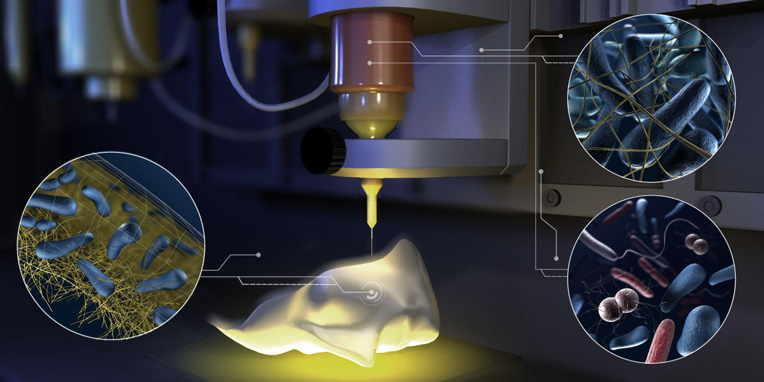 Illustration of the process of 3D printing using bacteria-containing ink