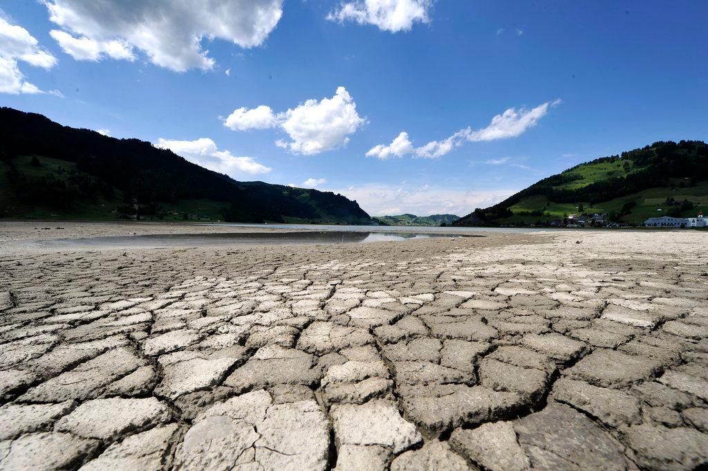 Ground-level view of dried mud on the banks of the Sihlsee, a lake in the Swiss canton Schwyz